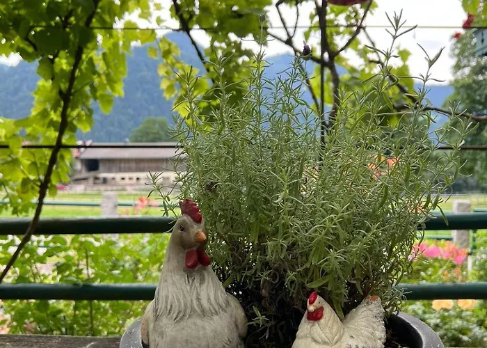 Hitscherhof - Abart Söll