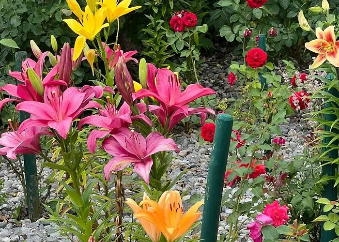 Alloggio per agriturismo Hitscherhof - Abart