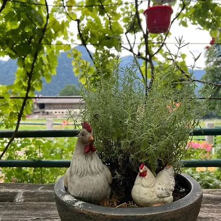 Hitscherhof - Abart Söll